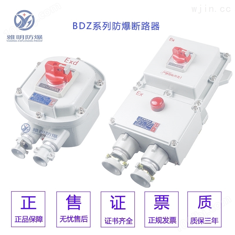 BDZ52-100A3P4PIIB级IP65防爆断路器
