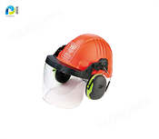 HEAD PROTECTION高压防护头盔 (P20/30）